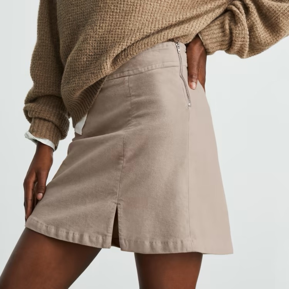 Everlane Moleskin Mini Skirt
